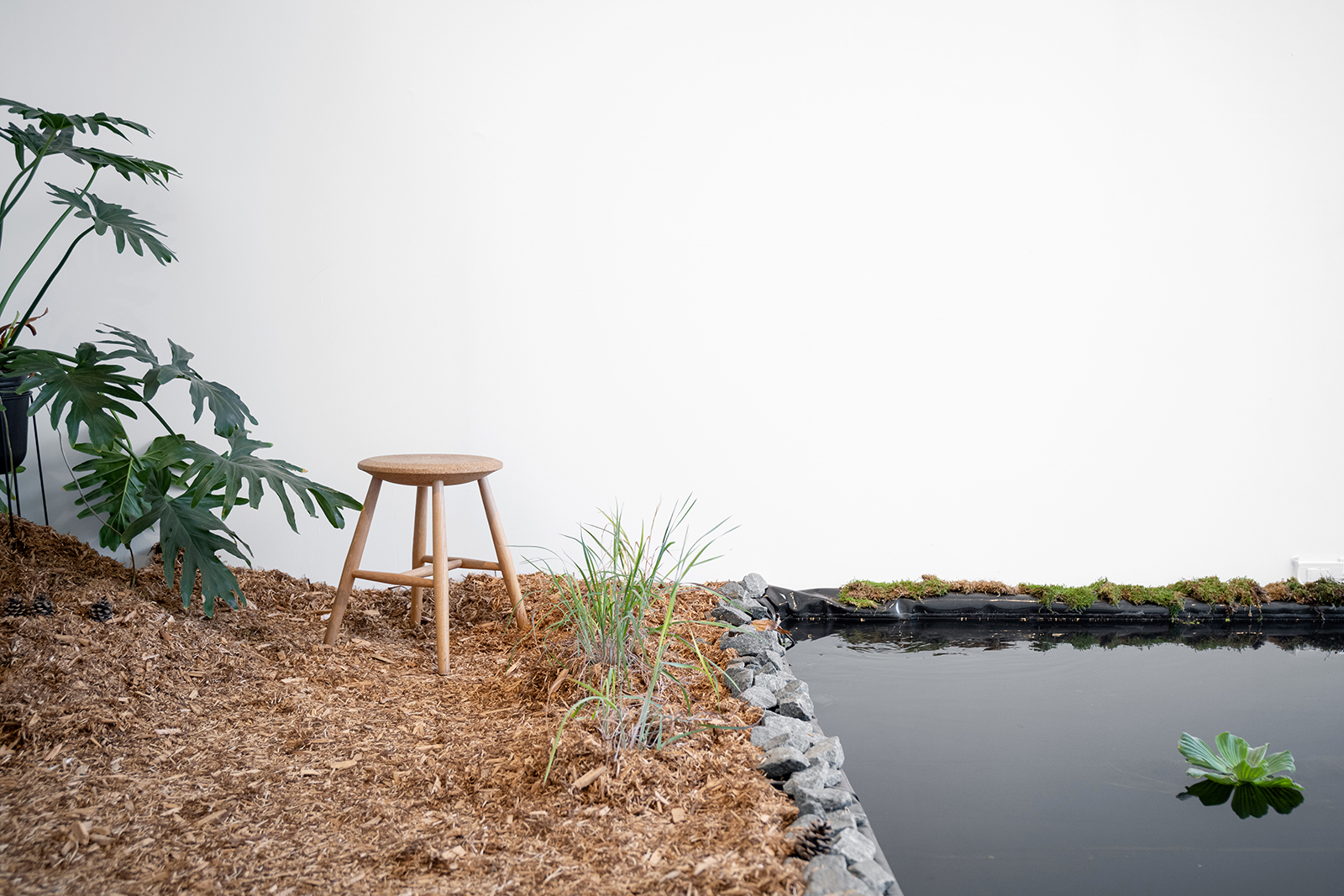 Refuge In The Water
