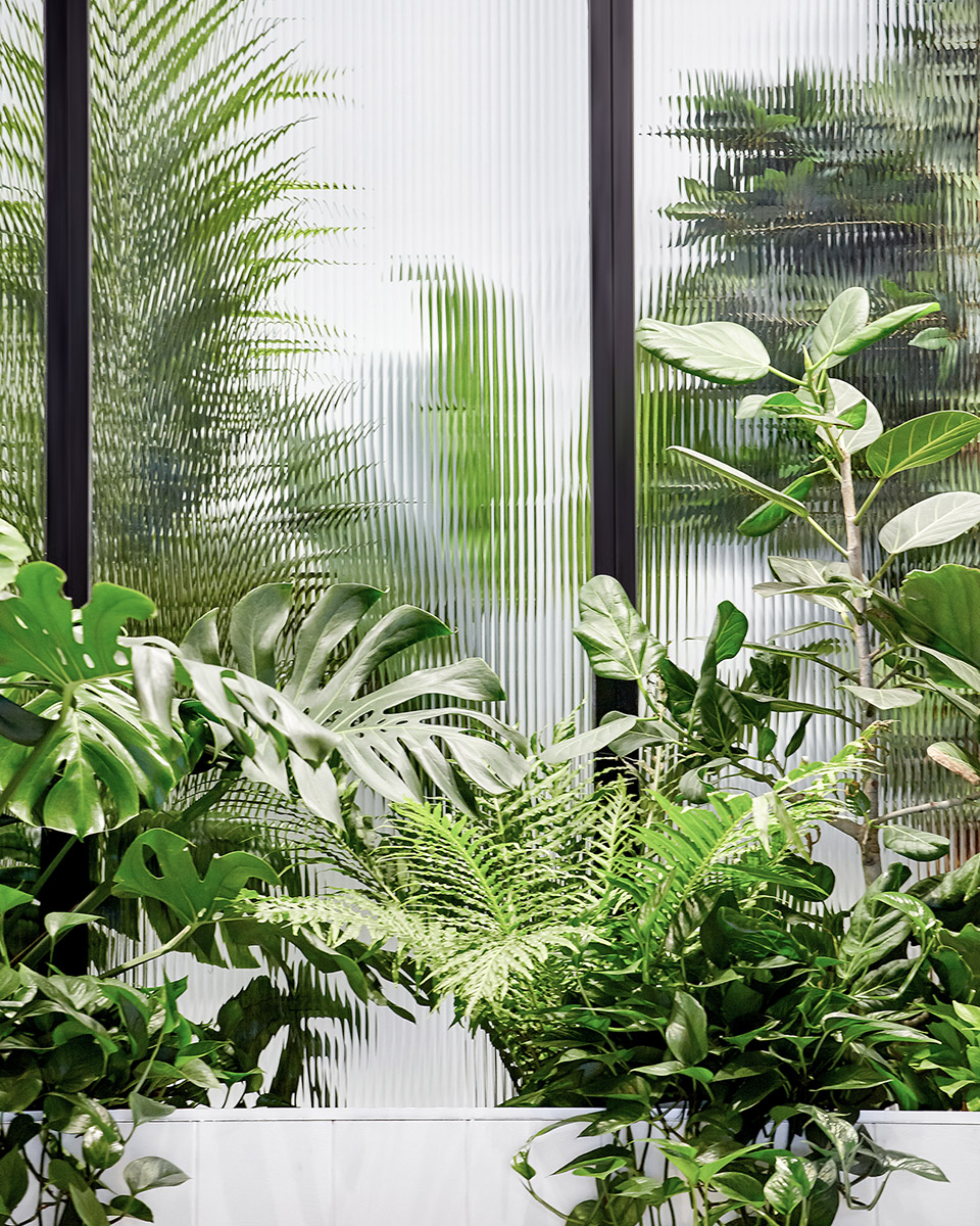 iQ Food Co., Sheppard Avenue