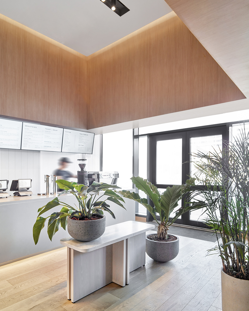 iQ Food Co., Sheppard Avenue