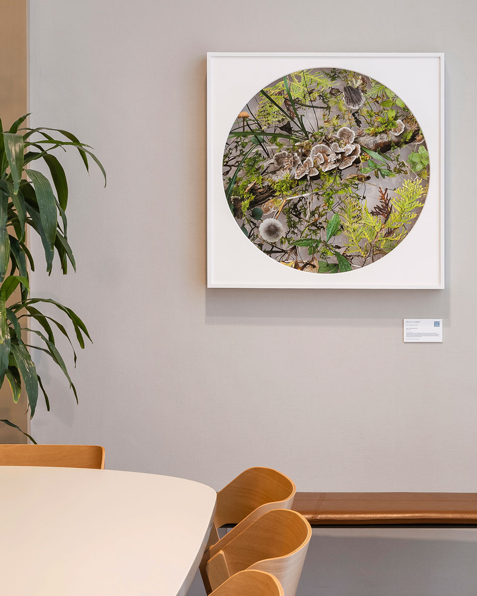 The Story of Midtown